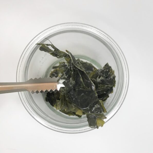 alga-kombu